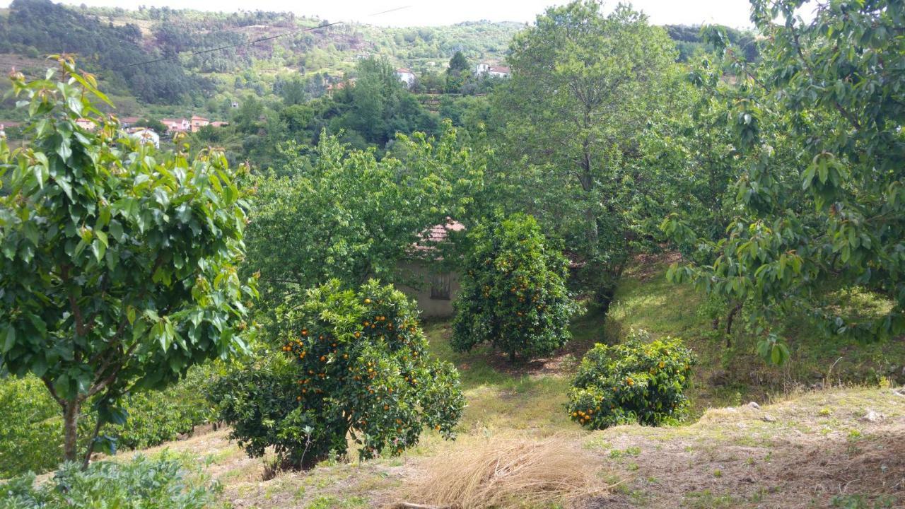 Casa Da Eira - Castanheiras Vendégház Resende Kültér fotó