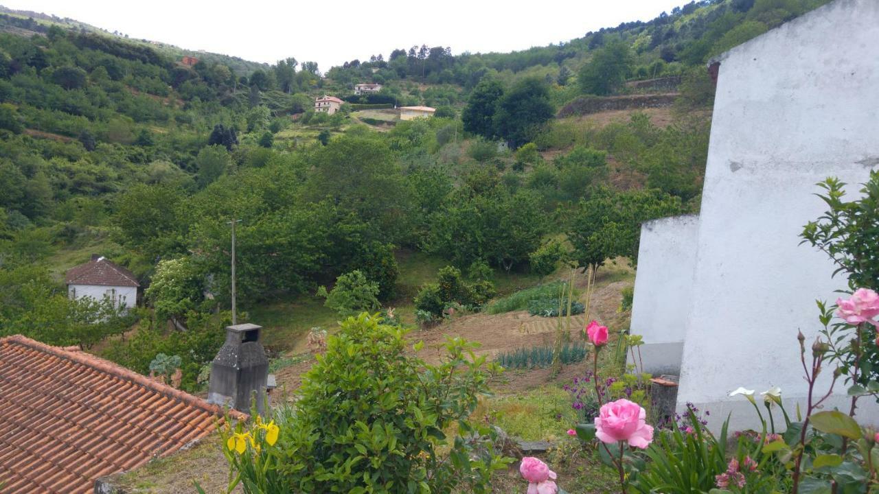 Casa Da Eira - Castanheiras Vendégház Resende Kültér fotó